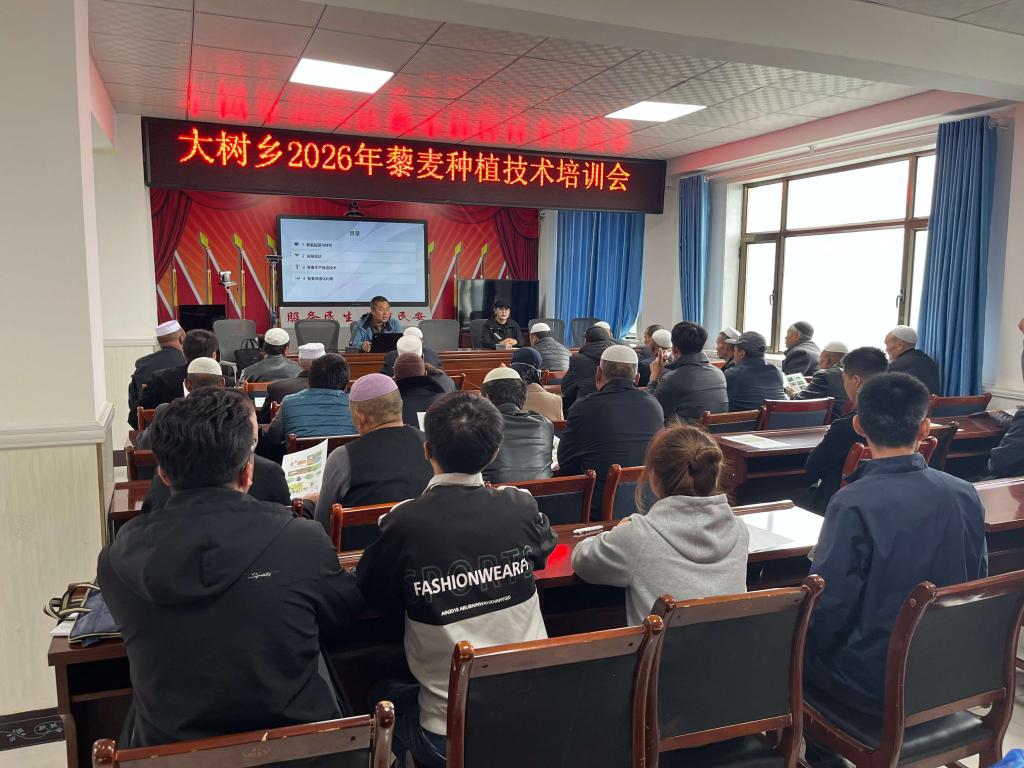 我院畜草所藜麦团队赴东乡县开展科技培训与现场测产