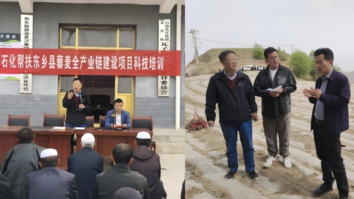 我院藜麦种前技术培训工作得到了东乡县委、县政府的充分肯定