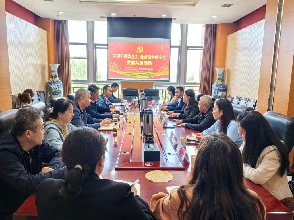 党建引领聚合力 业务融合促安全