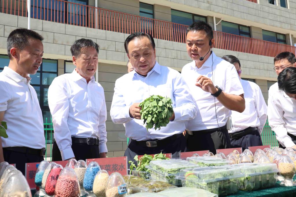 中国石化集团董事长侯启军一行调研东乡藜麦全产业链建设项目